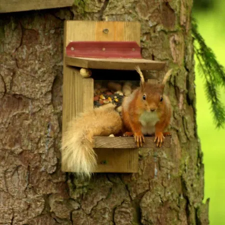 Holiday home Snittlegarth 1